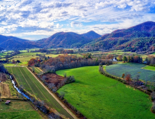 Wolffork Valley – North Loop Completion